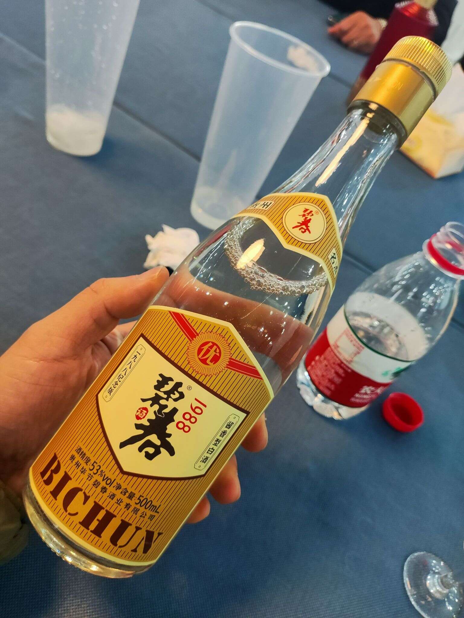 碧春1988  20230216 162005